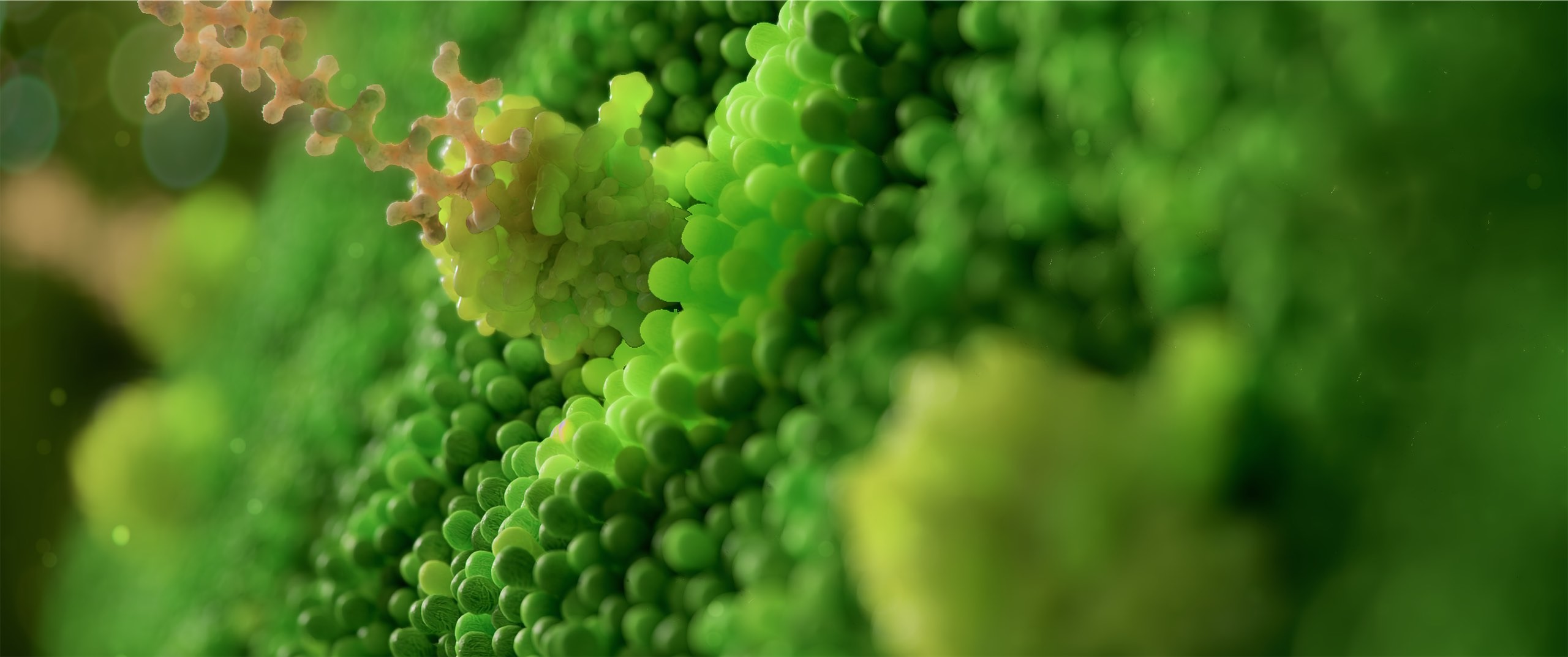 This 3d animation shows a plant receptor with a chitosan molecule.jpg